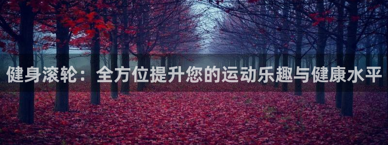 龙8国际游戏官方网站