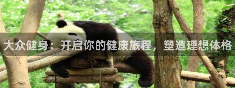 龙8国际手机官网下载