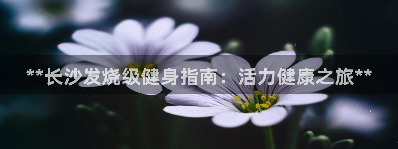 龙八国际下载官网平台